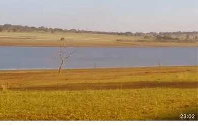 Imagem: A fazenda está localizado em Uberlândia, MG à venda por