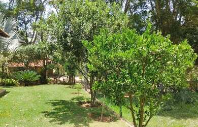 Imagem 7: Vendo Casa no bairro Campo Verde em Paty do Alferes - RJ