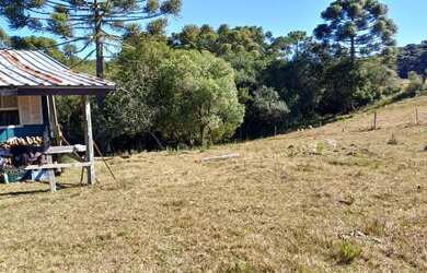 Imagem 15: Chácara em mato queimado 2 km da estrada do Cazuza ferreira