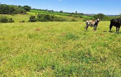 Imagem: A fazenda possui 47000m² de Área e está localizado em Itaguari