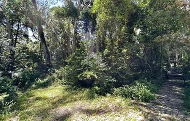 Imagem 13: Terreno a Venda em Canela