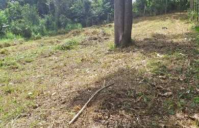 Imagem: O terreno possui 460m² de Área e está localizado em Córrego