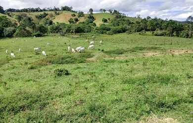 Imagem 3: Vendo excelente fazendinha em Nazaré das farinha