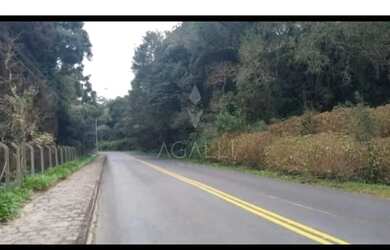 Imagem 3: Terreno à venda,66000.00 m , Ferraria, CAMPO LARGO - PR