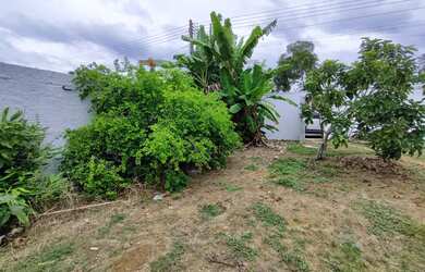 Imagem 6: VENDO CASA - RESIDENCIAL TARUMÃ - 2 QUARTOS