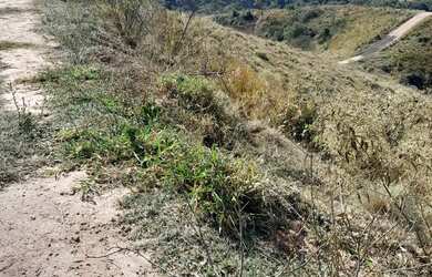 Imagem 16: Vende se um terreno no pouso alegre