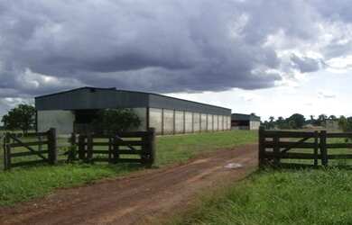 Imagem 16: Fazenda 83.346 Hectares em Mato Grosso - São Felix
