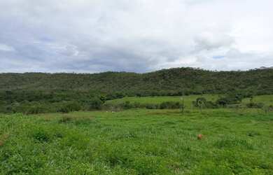 Imagem 11: Fazenda para Venda em Santa Cruz de Goiás, Zona Rural