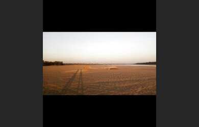 Imagem 10: Linda Ilha com 210 hectares Rio Madeira 63 km de porto velho