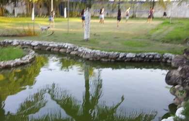 Imagem 4: P. Guaratiba-10.000m-Sitio-Investidores-Estação Pingo Dagua BRT