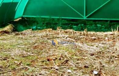 Imagem 5: Terreno à venda, 300 m² por R$ 310.000,00 - Jardim Catedral - Maringá/PR