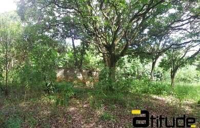 Imagem 6: Terreno a venda em Santana de Parnaíba - Cristal Park III