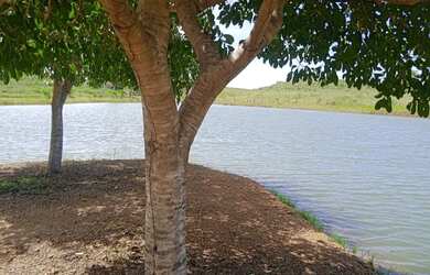 Imagem: A fazenda possui Imóvel novo e está localizado em Caseara