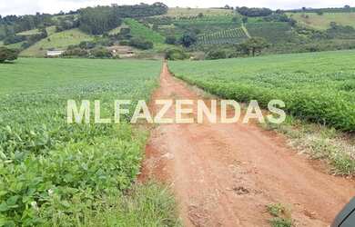 Imagem 8: Fazenda em Turvelândia MG 81,6 alqueires ou 197,47 ha, 80 aproveitável