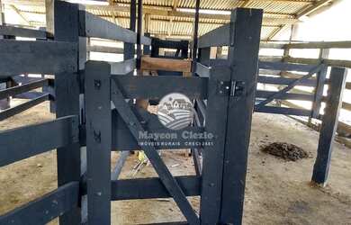 Imagem: Monte Negro - Chácara - 8.5 Alqueires