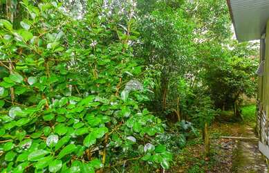 Imagem 8: Lote/Terreno para venda tem 516 metros quadrados em Pilarzinho - Curitiba - PR