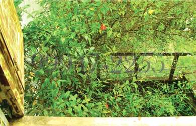 Imagem 10: Casa em condomínio fechado, vista deslumbrante , lazer, 3 qts, 210m