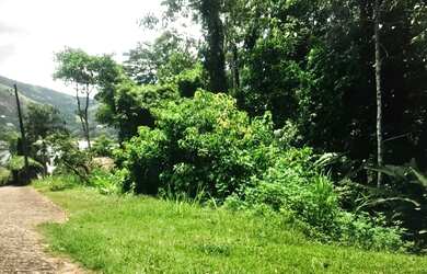 Imagem 6: Lote/Terreno para venda tem 1300 metros quadrados em Portogalo - Angra...