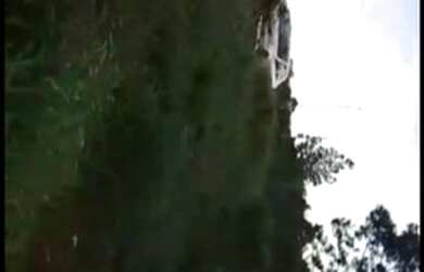 Imagem 4: Sítiozinho no alto do caraa