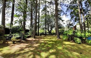 Imagem 14: Porto Alegre - Casa Padrão - Terra Ville