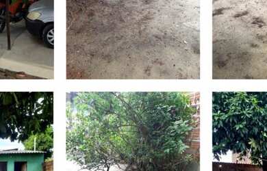 Imagem: A casa possui 5 Dormitórios, 4 Banheiros, 1 Vaga na garagem