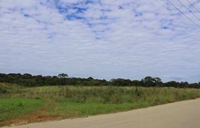 Imagem 4: FAZENDA RIO GRANDE - Terreno Padrão - Estados