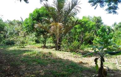 Imagem: A chácara possui 7.500m² de Área e está localizado em Centro