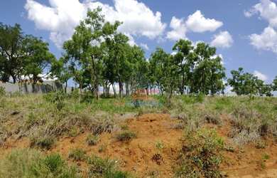 Imagem: O terreno possui 1000m² de Área e está localizado em Curitibanos