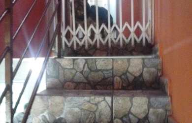 Imagem 9: São Paulo - Casa de Condomínio - São Miguel Paulista