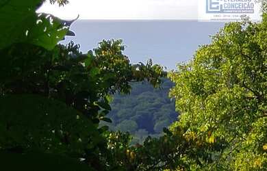 Imagem 7: Ilhéus - Fazenda - Iguape