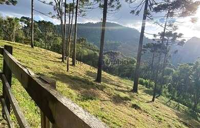 Imagem 4: Lote/Terreno para venda possui 20000 metros quadrados em Zona Rural -...