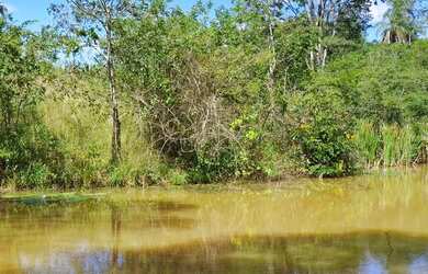 Imagem: O terreno possui 20000m² de Área e está localizado em Jaboticatubas