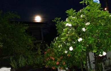 Imagem: A casa possui 1 Dormitório, 1 Banheiro, 45m² de Área e está