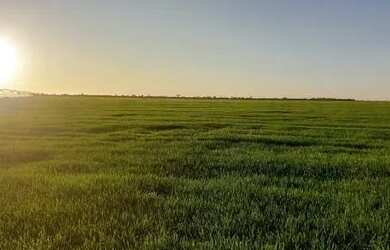 Imagem 2: Fazenda de 389 hectares em Urucuia-MG