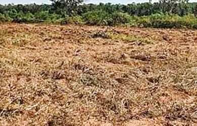 Imagem 12: Fazenda/Sítio/Chácara para venda tem metros quadrados em zona rural...