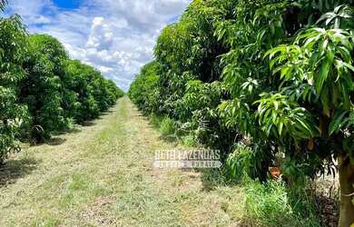 Imagem: A fazenda possui 857.000m² de Área e está localizado em