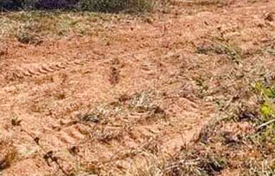 Imagem 13: Fazenda/Sítio/Chácara para venda tem metros quadrados em zona rural...