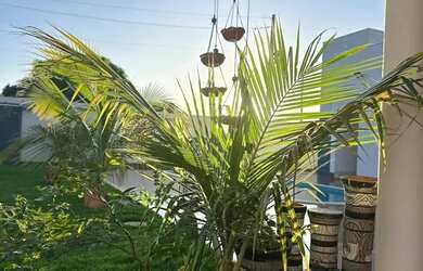 Imagem 5: Chácara à venda em Nova Esperança - 1.250 m² de lazer e conforto