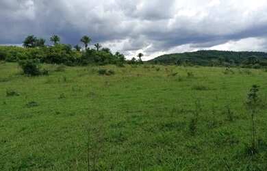 Imagem 4: Fazenda Capão Preto - Tiros - MG