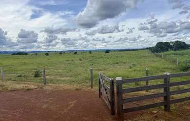 Imagem 2: Fazenda c/ 1.207he com cerca de 800he formados, Rosário Oeste-MT