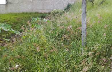 Imagem 9: Lote/Terreno para venda tem 500 metros quadrados em Quintas das Avenidas - Juiz de Fora