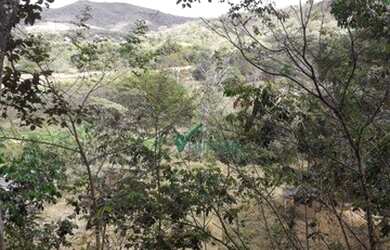 Imagem 8: Terreno à venda, 3474 m² por R$ 145.000,00 - Zona Rural - Taquaraçu...