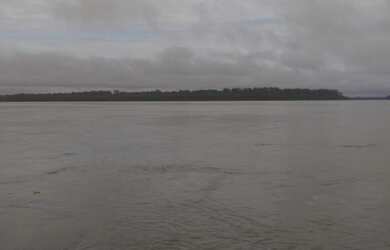 Imagem 12: Linda Ilha com 210 hectares Rio Madeira 63 km de porto velho