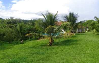 Imagem 3: Entroncamento Itape 40 hectares