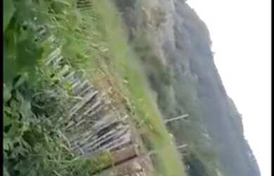 Imagem 2: Sítiozinho no alto do caraa