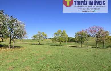 Imagem 5: Fazenda Espetacular em Jaguariúna / SP com 35 alqs FAZ 338