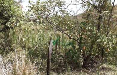 Imagem 5: Terreno à venda, 3474 m² por R$ 145.000,00 - Zona Rural - Taquaraçu...