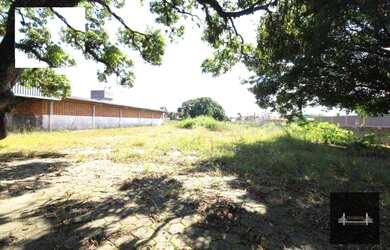 Imagem 8: Terreno plano no Carianos em frente ao antigo aeroporto Hercílio Luz