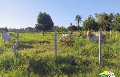 Imagem: A fazenda possui 3m² de Área e está localizado em Conde