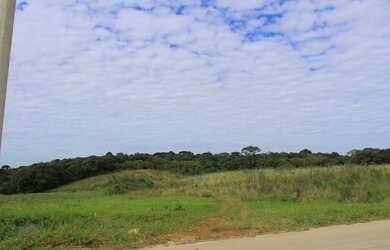 Imagem 2: FAZENDA RIO GRANDE - Terreno Padrão - Estados